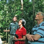Cairns Rainforest Tours
